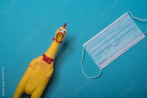 Shrilling Chicken squeaky toy and medical mask . toy rubber shriek yellow chicken isolated on blue background