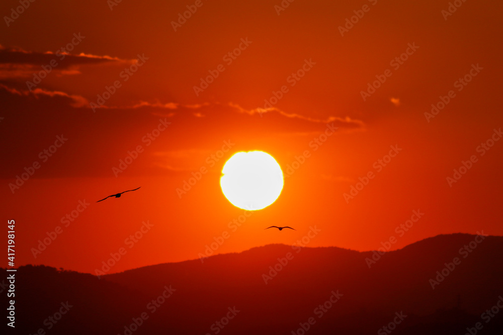 sunset over the mountains and silhouette of two birds flying