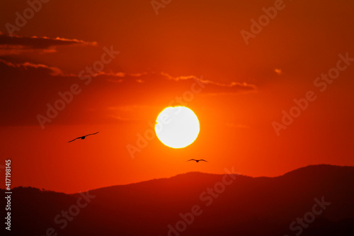 sunset over the mountains and silhouette of two birds flying