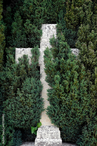 Cemetery. Christian cross and cupressus. France. 22.03.2018