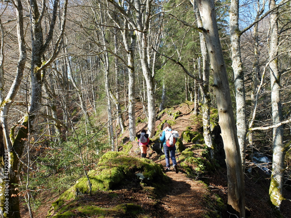 Obraz premium de Besse au Puy de Champbourguet