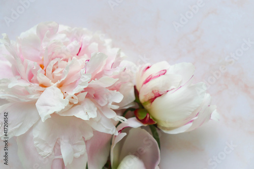 spring flowers. flower arrangement of pink peonies and place for text 