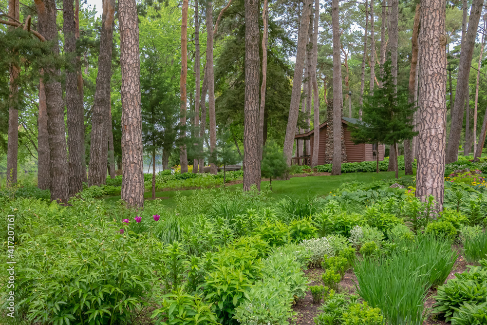 A log cabin in the background of a lush green shade garden in a public park. A log cabin in the background of a lush green shade garden in a public park.