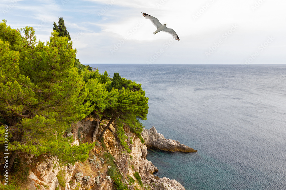 Dubrovnik sea coast resort landscape with sea gull, Croatia