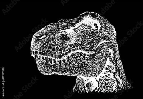 Graphical portrait of tyrannosaurus isolated on black background,vector