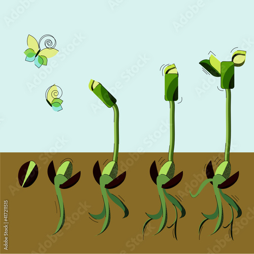Realistic vector illustration of plant growth from seed to sprout.