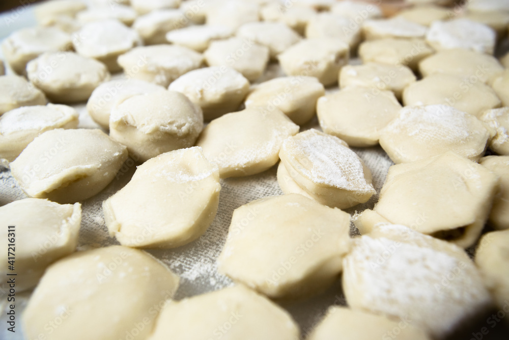 Handmade ravioli dumplings are beautifully arranged in rows on a cutting board and sprinkled with flour. Close-up, macro. Handmade ravioli dumplings are beautifully arranged in rows on a cutting board and sprinkled with flour. Close-up, macro.