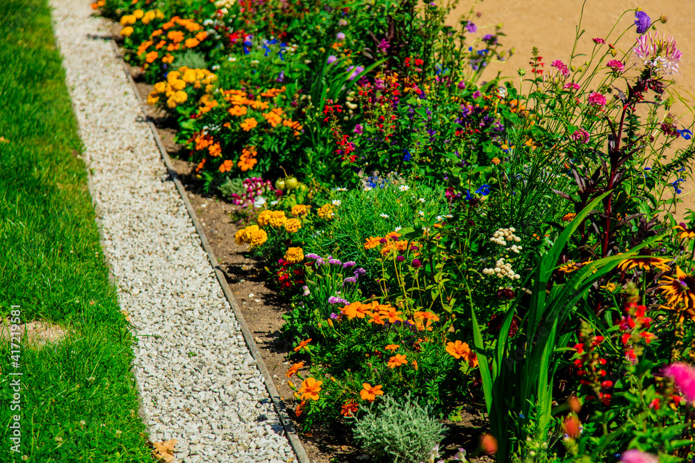 Fototapeta premium Beautiful flowers in a park