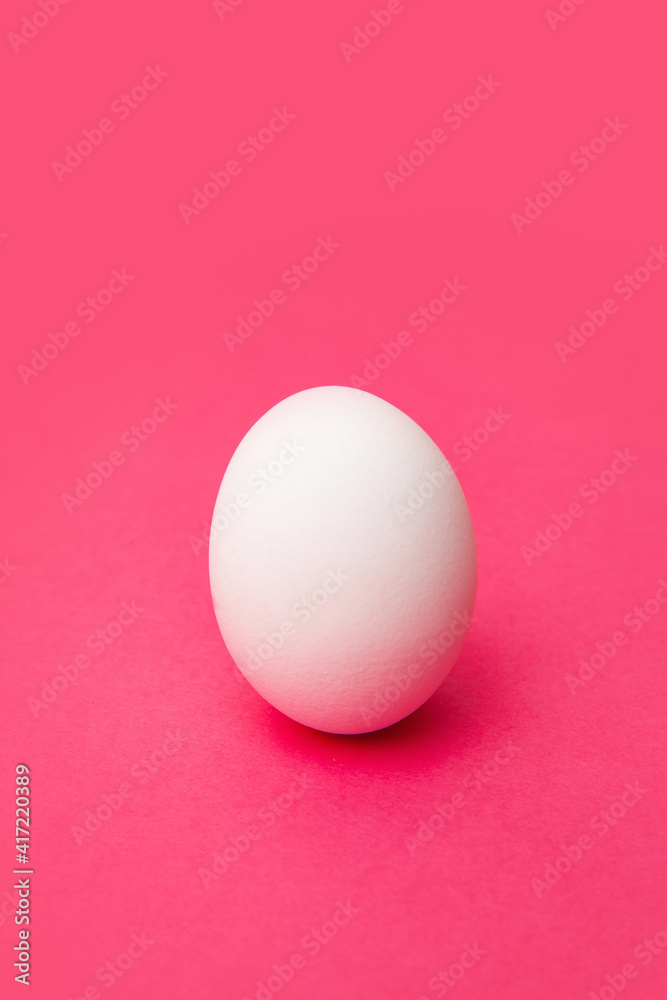 White fresh chicken egg on pink surface White fresh chicken egg on pink surface
