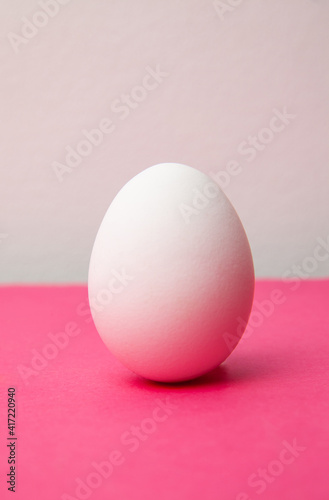 White fresh chicken egg on pink surface