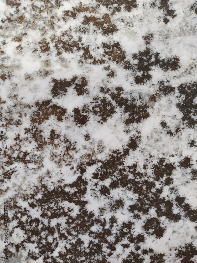 Obraz premium snow on the wall