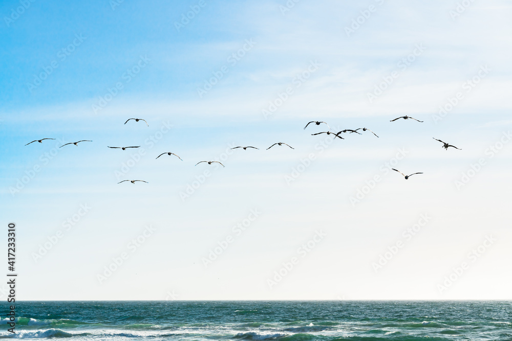 Seascape and silhouette of flying pelicans against cloudy sky background