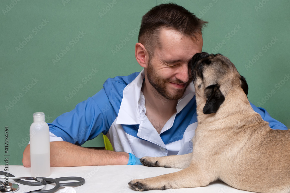 Smiling veterinarian with stethoscope loving pug dog in hospital after