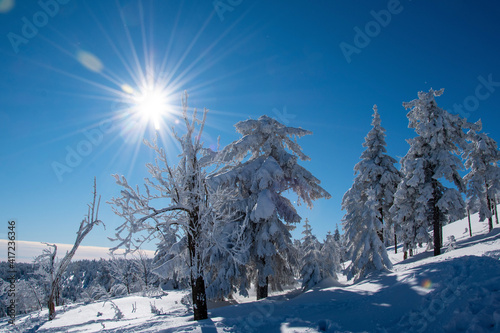 winter mountain landscape