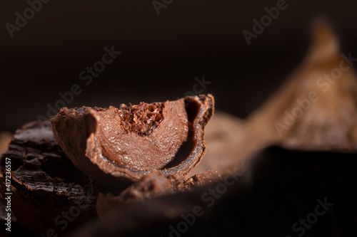 A closeup of a sliced chocolate ball candy with a filling. Dark chocolate candy.