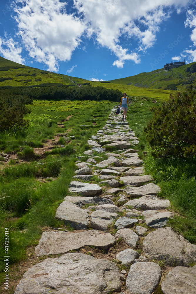 Fototapeta premium Scenic panoramic view of mountains landscape with blooming meadows