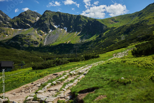 Fototapeta Naklejka Na Ścianę i Meble -  Scenic panoramic view of mountains landscape with blooming meadows