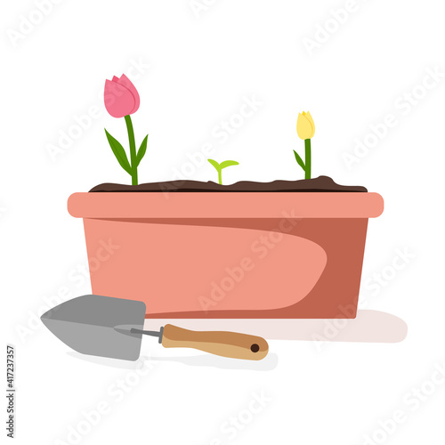 Tulips and growing seed in a ceramic pot with ground planted with a trowel, gardening tool, and equipment. Vector illustration of red and yellow flowers in a pot isolated on white background.