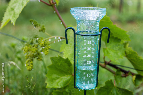 Meteorology with rain gauge in garden after the rain