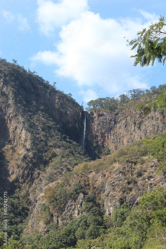 Naklejka premium cola de caballo taxco