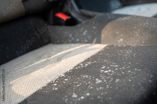 Mold on a car seat that has been left unused for several months