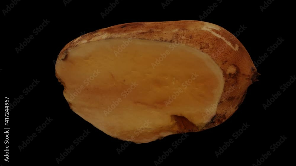 Realistic render of a rotating cut Yacon Root on black background. The video is seamlessly looping, and the 3D object is scanned from a real yacon root.
Realistic render of a rotating cut Yacon Root on black background. The video is seamlessly looping, and the 3D object is scanned from a real yacon root.