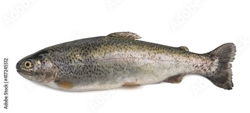 freshly caught trout