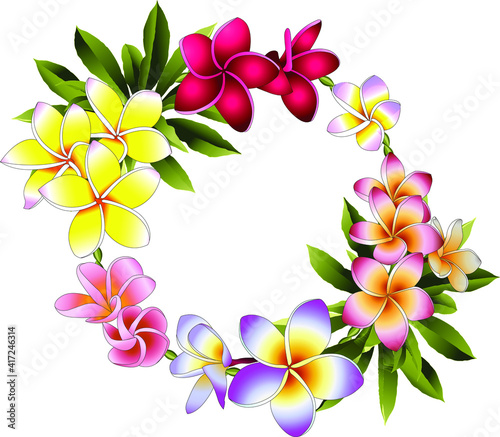 Multicolored tropical plumeria flowers on white background in wreath