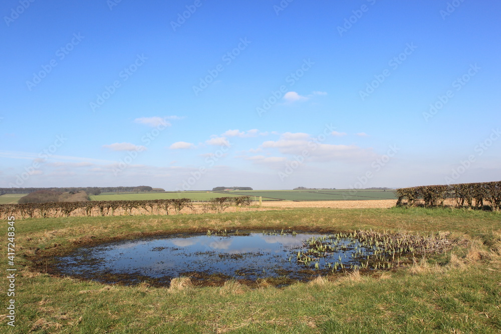 small dew pond in the scenic landscape of the Yorkshire wolds in February