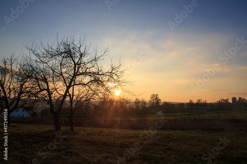 Sonnenuntergang hinter Baum