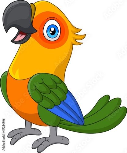 Cartoon funny macaw on white background