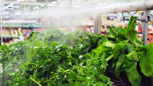 Kitchen herbs in supermarket baskets with steam irrigation system to keep vegetables fresh. The inscriptions in Russian mean: fresh mint, parsley, dill, basil, onion, cilantro. photo