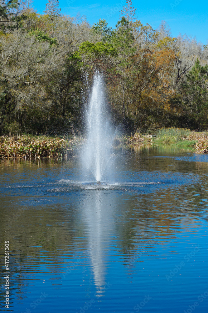 A geyser in a Florida community