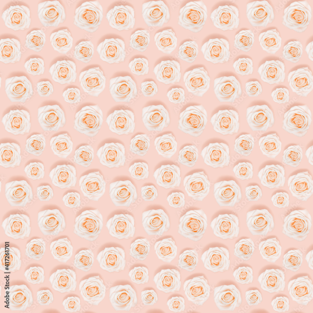Seamless pattern from pink white tender roses flower. Natural blooms. Holiday minimal concept. Nature background.