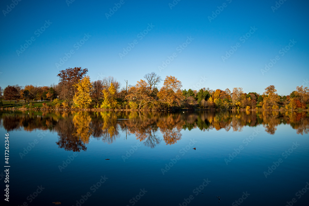 autumn trees reflected in water autumn trees reflected in water