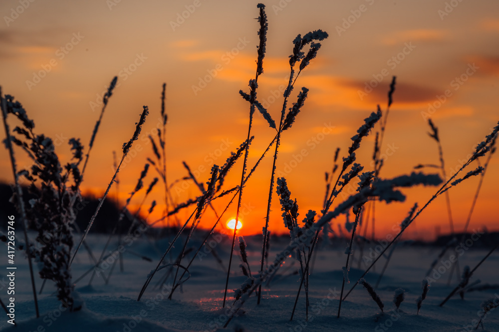 Fototapeta premium a beautiful sunset on a frosty winter evening paints the sky with bright colors