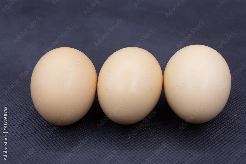 Healthy and delicious egg photography Healthy and delicious egg photography