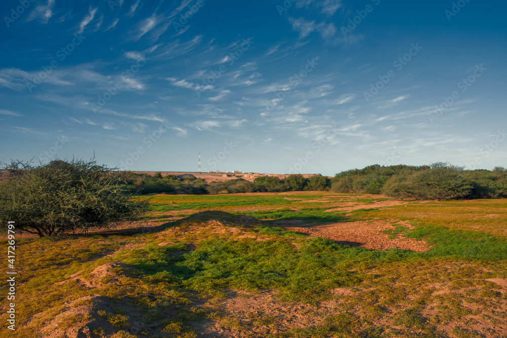 Obraz premium Landscape