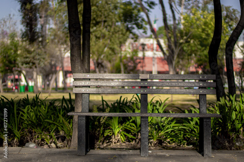 bench in the park