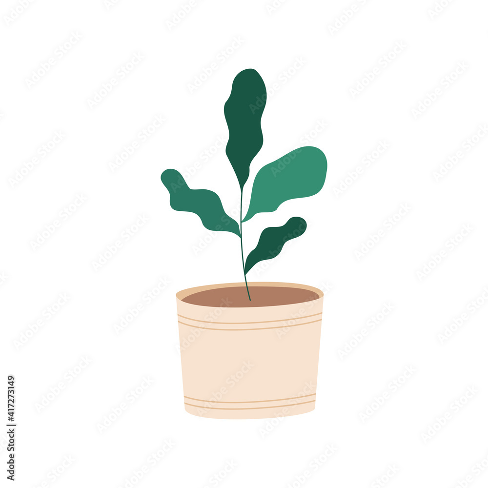 Obraz premium house plant in ceramic pot icon