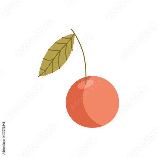 orange citrus fruit isolated icon