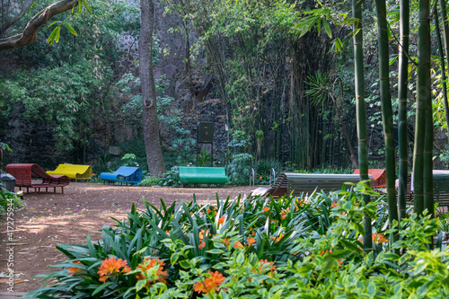 garden in chapultepec forest México city photo