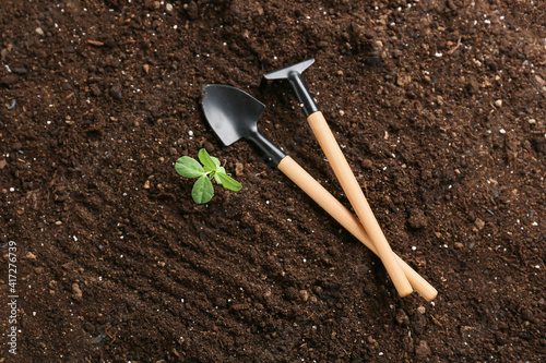 Gardening tools on soil with growing plant