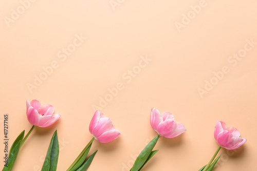 Beautiful tulip flowers on color background © Pixel-Shot