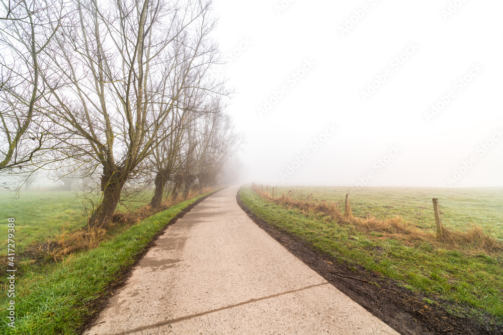 along the meadows there is a road with fog