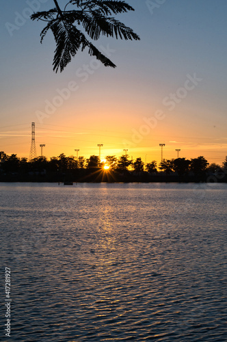 Sunset overlooking the lagoon with plants in the foreground.