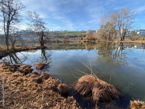 Lake Au (Ausee) on the Au Peninsula in Lake Zurich (Zürichsee oder Zuerichsee), Wädenswil (Waedenswil) - Canton of Zürich (Zuerich), Switzerland (Schweiz) photo