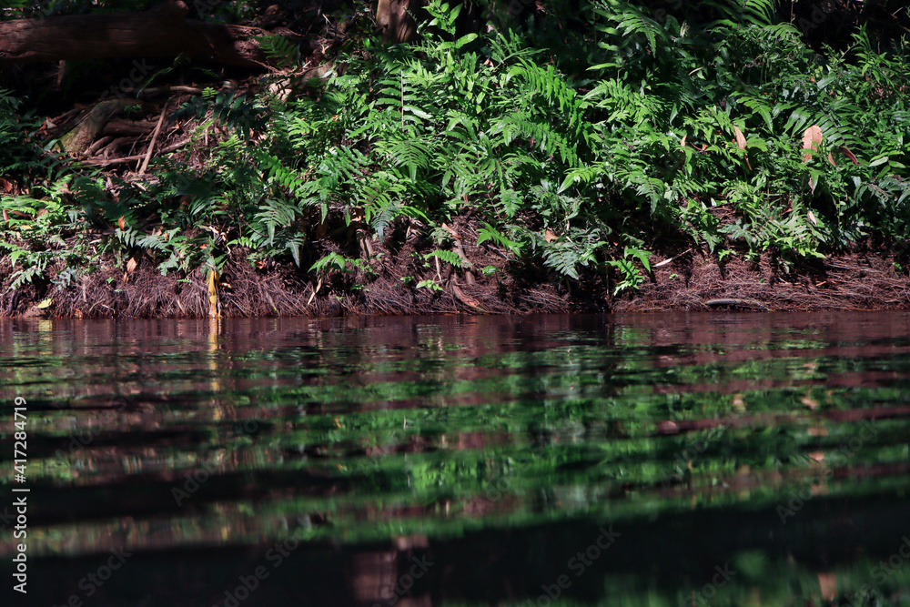 Abundant natural water and green plants grow by the water's edge. Abundant natural water and green plants grow by the water's edge.