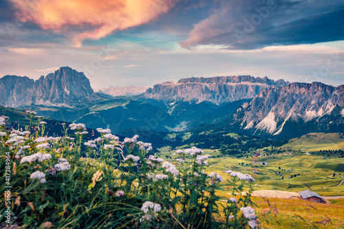 Beautiful summer scenery. Exciting sunrise with Sassolungo and Sella mountains in Dolomites National Park, South Tyrol, Italy, Europe. Fantastic morning scene of Gardena valley, Dolomite Alps. © Andrew Mayovskyy