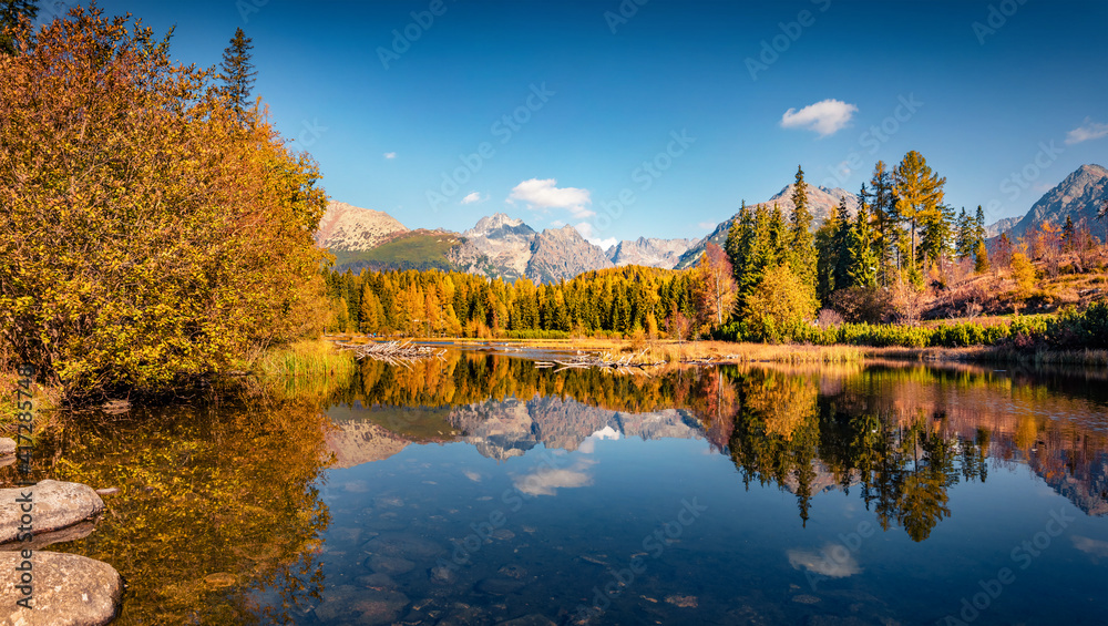 Naklejka premium Beautiful autumn scenery. Calm morning view of Strbske pleso lake. Spectacular outdoor scene of High Tatra National Park, Slovakia, Europe. Beauty of nature concept background.